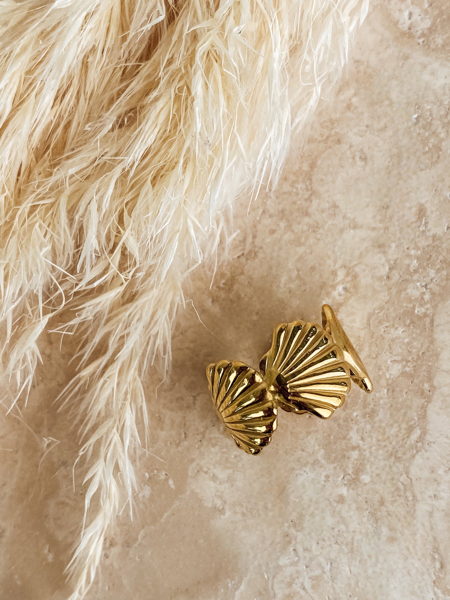 Ring Shell Love