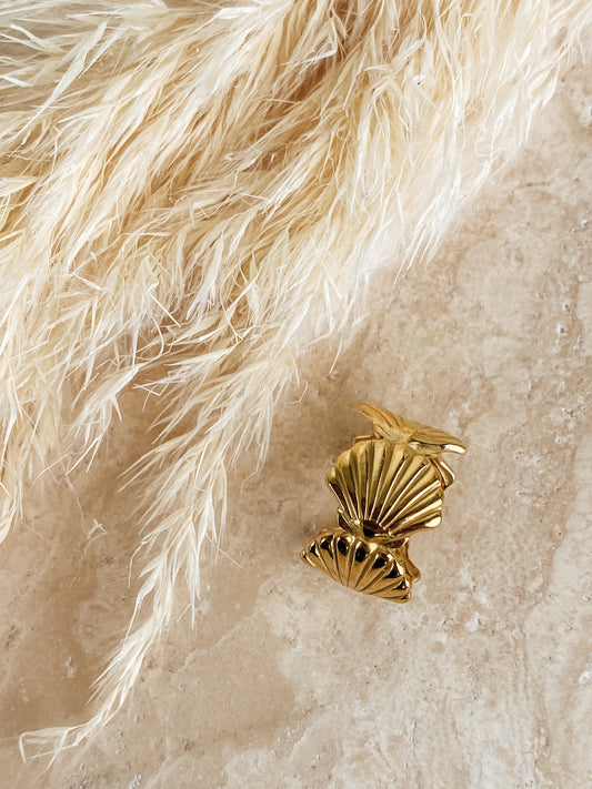 Ring Shell Love