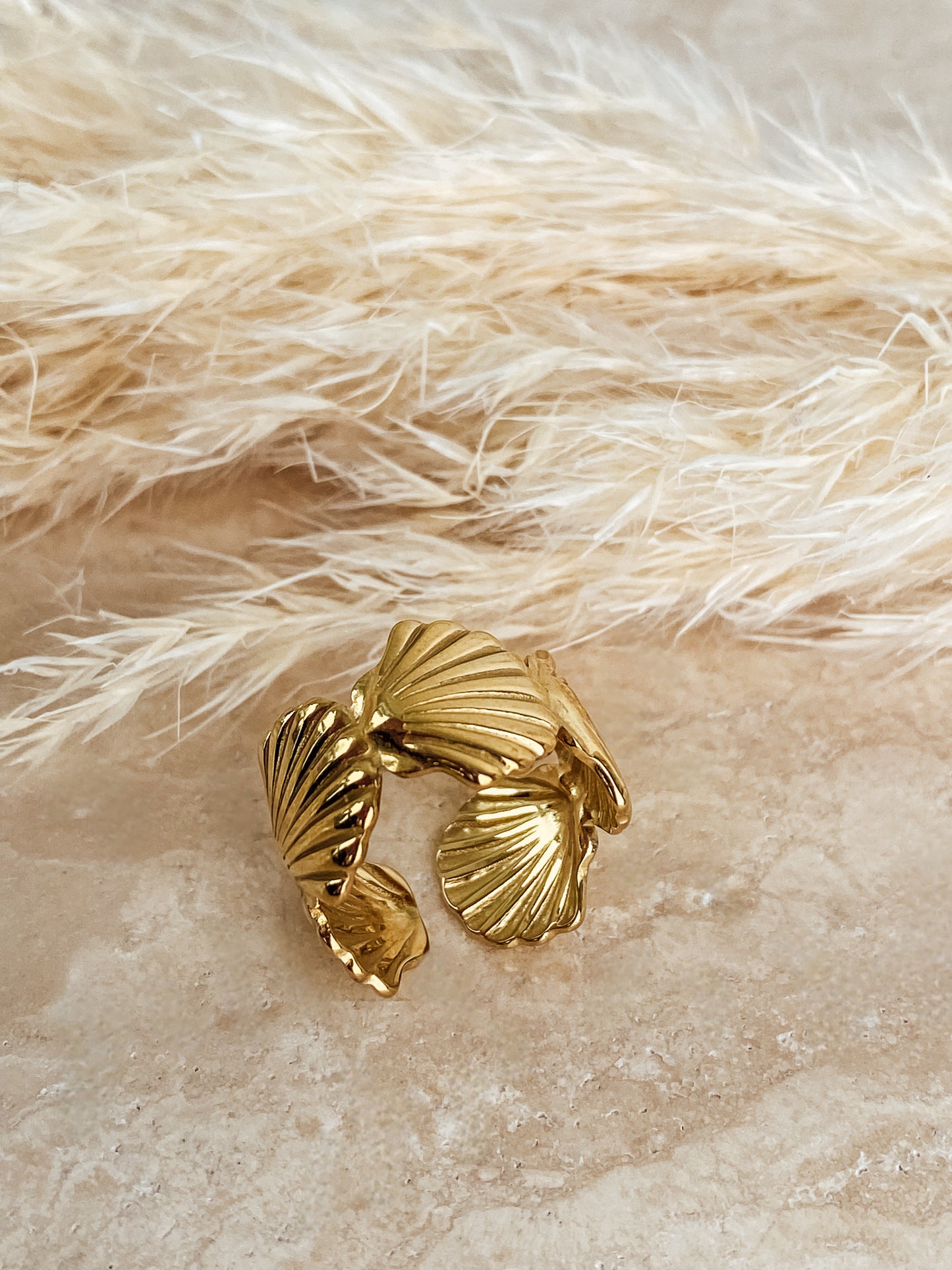 Ring Shell Love
