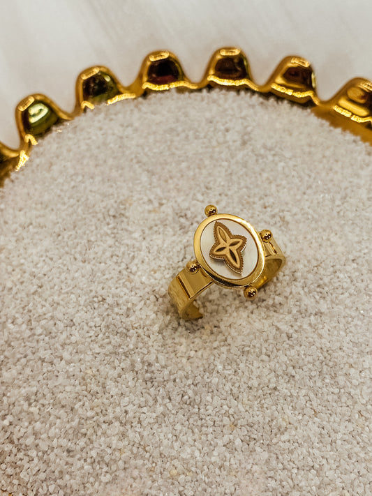 Ring Debby